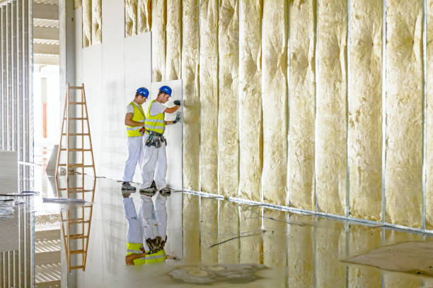 Best Commercial Insulation in Brown Station, MD